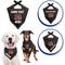 Show in main carousel: Pets First NFL Cincinnati Bengals Personalized Dog Bandana, Small/Medium slide 3 of 5