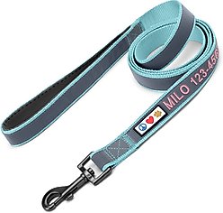 Pawtitas Personalized Padded Reflective Dog Leash, Teal, Extra Small/Small: 6-ft long, 5/8-in wide
