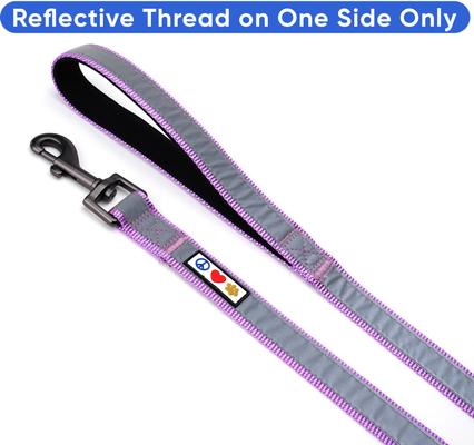 Show full view: Pawtitas Personalized Padded Reflective Dog Leash, Purple Orchid, Extra Small/Small: 6-ft long, 5/8-in wide slide 6 of 10