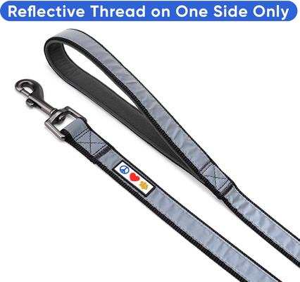 Show full view: Pawtitas Personalized Padded Reflective Dog Leash, Black, Extra Small/Small: 6-ft long, 5/8-in wide slide 6 of 10