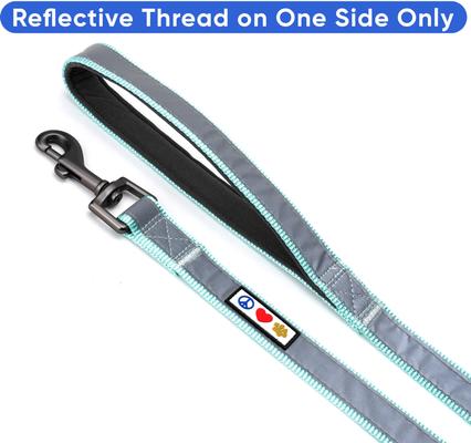 Show full view: Pawtitas Personalized Padded Reflective Dog Leash, Teal, Medium/Large: 6-ft long, 1-in wide slide 6 of 10