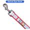 Show in main carousel: Pawtitas Personalized Padded Reflective Dog Leash, Red, Medium/Large: 6-ft long, 1-in wide slide 8 of 10