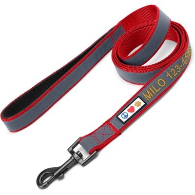 Pawtitas Pawtitas Personalized Padded Reflective Dog Leash, Red, Medium/Large: 6-ft long, 1-in wide