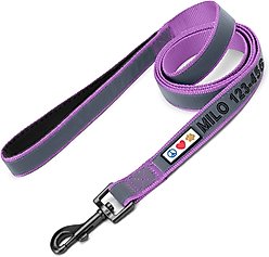 Pawtitas Personalized Padded Reflective Dog Leash, Purple Orchid, Extra Small/Small: 6-ft long, 5/8-in wide