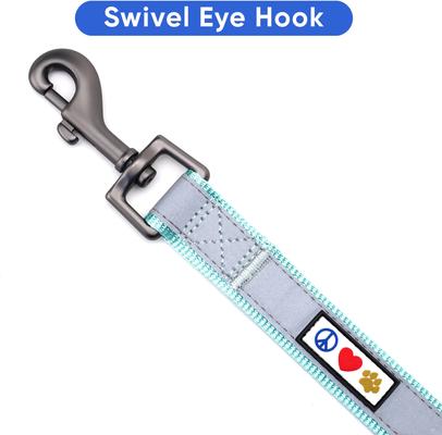 Show full view: Pawtitas Personalized Padded Reflective Dog Leash, Teal, Medium/Large: 6-ft long, 1-in wide slide 8 of 10