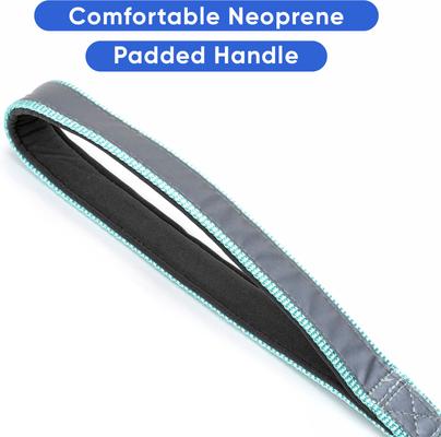 Show full view: Pawtitas Personalized Padded Reflective Dog Leash, Teal, Medium/Large: 6-ft long, 1-in wide slide 7 of 10