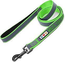Pawtitas Personalized Padded Reflective Dog Leash, Green, Medium/Large: 6-ft long, 1-in wide