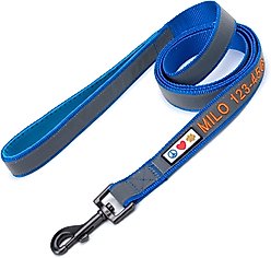 Pawtitas Personalized Padded Reflective Dog Leash, Blue, Medium/Large: 6-ft long, 1-in wide