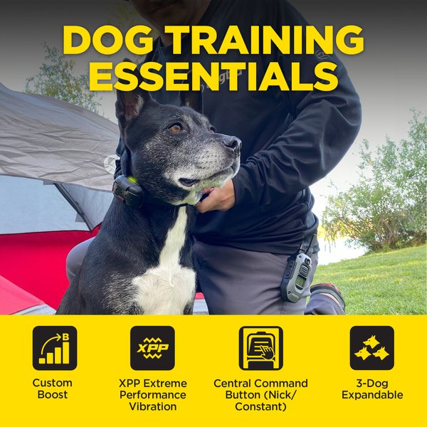 Show full view: Dogtra 280X 2/Dog 1/2 Mile IPX9K Waterproof Vibration & Tone Remote Dog Training Collar, 8 to 10-in neck, Black slide 5 of 9
