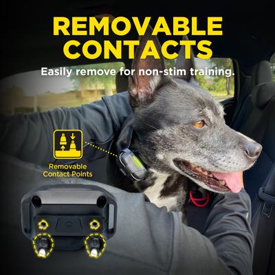 Show full view: Dogtra 280X 2/Dog 1/2 Mile IPX9K Waterproof Vibration & Tone Remote Dog Training Collar, 8 to 10-in neck, Black slide 8 of 10