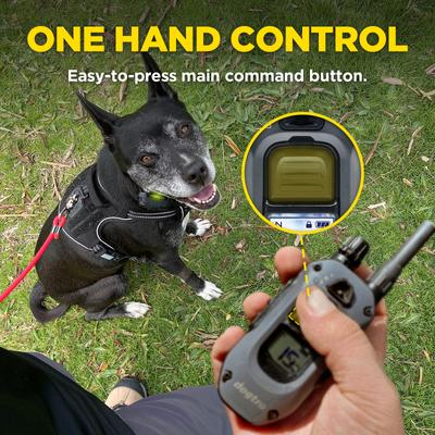 Show full view: Dogtra 280X 2/Dog 1/2 Mile IPX9K Waterproof Vibration & Tone Remote Dog Training Collar, 8 to 10-in neck, Black slide 9 of 10