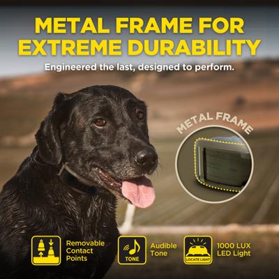 Show full view: Dogtra 1900X 4000-ft IPX9K Waterproof Vibration & Tone Remote Dog Training Collar, 13 to 20-in neck, Black slide 7 of 10