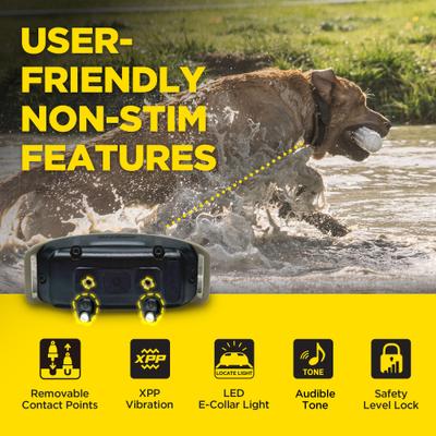 Show full view: Dogtra 1900X 4000-ft IPX9K Waterproof Vibration & Tone Remote Dog Training Collar, 13 to 20-in neck, Black slide 5 of 10