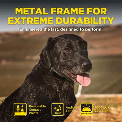 Show full view: Dogtra 1900X 2-Dog 4000-ft IPX9K Waterproof Vibration & Tone Remote Dog Training Collar, 13 to 20-in neck, Black slide 8 of 9