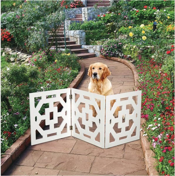 Etna 3 Stage Adjustable Dog Feeder