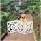 Show in main carousel: Etna Art Deco 3 Panel Adjustable Wooden Dog Gate, White, 48 x 19-in slide 2 of 3