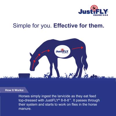 Show full view: Champion Animal Health JustiFLY Feedthrough Fly Control Horse Supplement, 4.75-lb tub slide 3 of 5