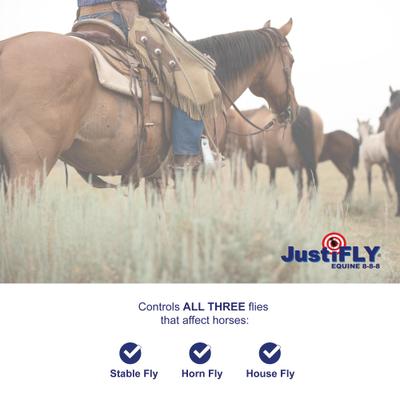 Show full view: Champion Animal Health JustiFLY Feedthrough Fly Control Horse Supplement, 4.75-lb tub slide 5 of 5