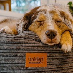 Cordaroys Forever Terry Corduroy Dog Bed, Dark Grey, 40-in slide 2 of 5