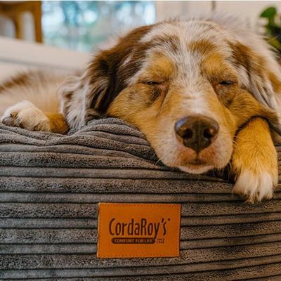 Show full view: Cordaroys Forever Terry Corduroy Dog Bed, Dark Grey, 40-in slide 4 of 6