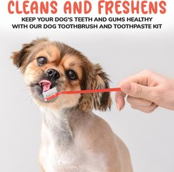 Precious Tails 4 Piece Dog & Cat Dental Kit slide 2 of 7