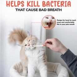 Precious Tails 2 Piece Dog & Cat Dental Kit slide 2 of 7