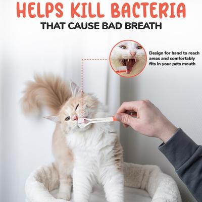 Show full view: Precious Tails 2 Piece Dog & Cat Dental Kit slide 5 of 8