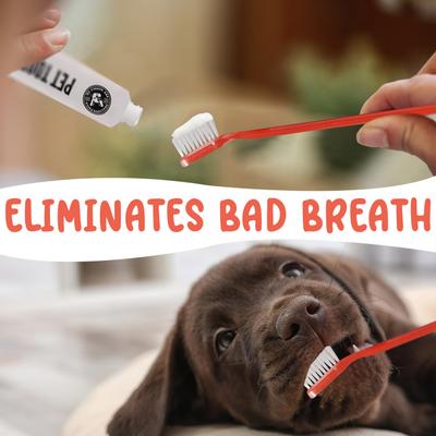 Show full view: Precious Tails 2 Piece Dog & Cat Dental Kit slide 8 of 8