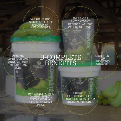 Show full view: B-COMPLETE 100% Dried Green Banana Digestive Aid Horse Supplement, 7.7-lb pail slide 4 of 10