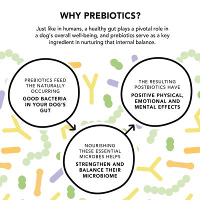 Show full view: Crumps' Naturals Gutsy Immune Bites Chicken Dog Treats, 4.6-oz bag slide 8 of 10