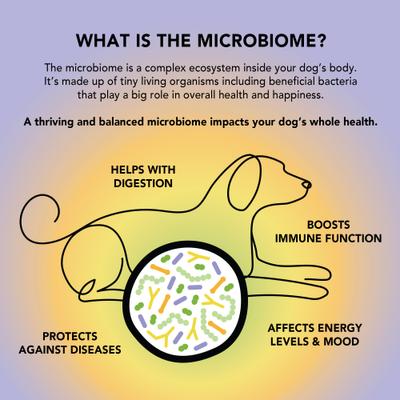 Show full view: Crumps' Naturals Gutsy Immune Bites Chicken Dog Treats, 10-oz bag slide 9 of 10