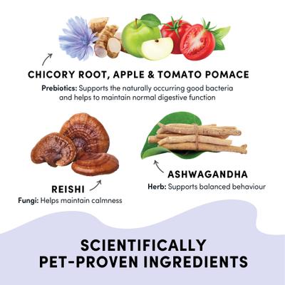 Show full view: Crumps' Naturals Gutsy Calm Bites Sweet Potato Dog Treats, 4.6-oz bag slide 5 of 10