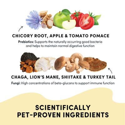 Show full view: Crumps' Naturals Gutsy Immune Bites Chicken Dog Treats, 10-oz bag slide 6 of 10