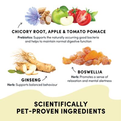 Show full view: Crumps' Naturals Gutsy Happy Bites Chicken Dog Treats, 10-oz bag slide 5 of 10