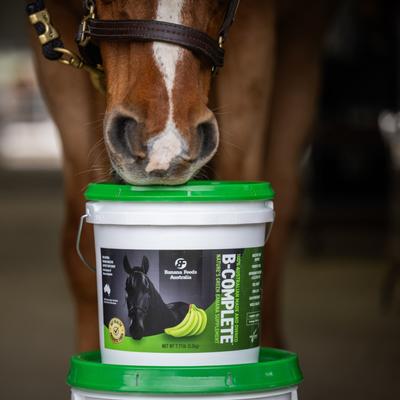 Show full view: B-COMPLETE 100% Dried Green Banana Digestive Aid Horse Supplement, 7.7-lb pail slide 5 of 10