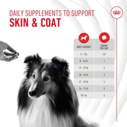 Royal Canin Skin & Coat Support Soft Chews Supplement for Adult Dogs, 60 count slide 2 of 9