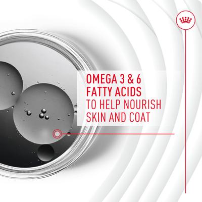 Show full view: Royal Canin Skin & Coat Support Soft Chews Supplement for Adult Dogs, 60 count slide 6 of 12