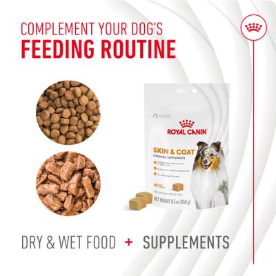 Show full view: Royal Canin Skin & Coat Support Soft Chews Supplement for Adult Dogs, 60 count slide 7 of 12