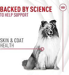 Royal Canin Skin & Coat Support Soft Chews Supplement for Adult Dogs, 120 count bundle slide 2 of 9