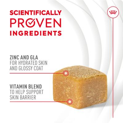 Show full view: Royal Canin Skin & Coat Support Soft Chews Supplement for Adult Dogs, 60 count slide 4 of 12