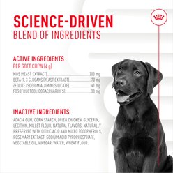 Royal Canin Digestive Support Soft Chews Supplement for Adult Dogs, 120 count bundle slide 2 of 9