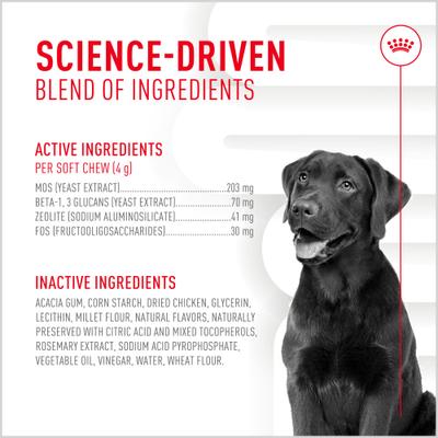 Show full view: Royal Canin Digestive Support Soft Chews Supplement for Adult Dogs, 60 count slide 8 of 12