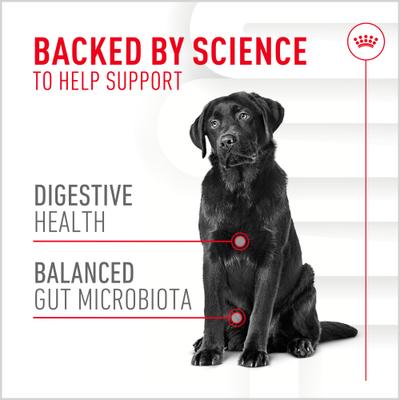 Show full view: Royal Canin Digestive Support Soft Chews Supplement for Adult Dogs, 60 count slide 5 of 12