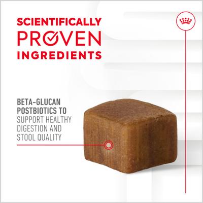 Show full view: Royal Canin Digestive Support Soft Chews Supplement for Adult Dogs, 60 count slide 4 of 12