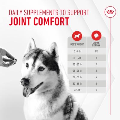 Show full view: Royal Canin Joint Support Soft Chews Supplement for Adult Dogs, 60 count slide 9 of 12