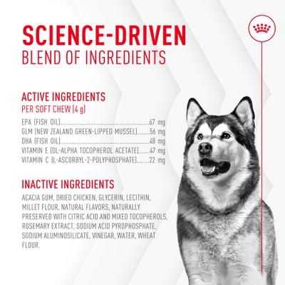 Show full view: Royal Canin Joint Support Soft Chews Supplement for Adult Dogs, 60 count slide 8 of 12