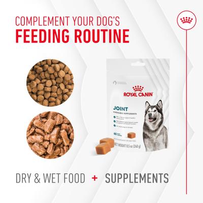 Show full view: Royal Canin Joint Support Soft Chews Supplement for Adult Dogs, 60 count slide 7 of 12