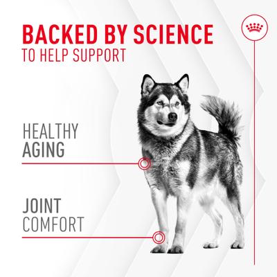 Show full view: Royal Canin Joint Support Soft Chews Supplement for Adult Dogs, 60 count slide 5 of 12
