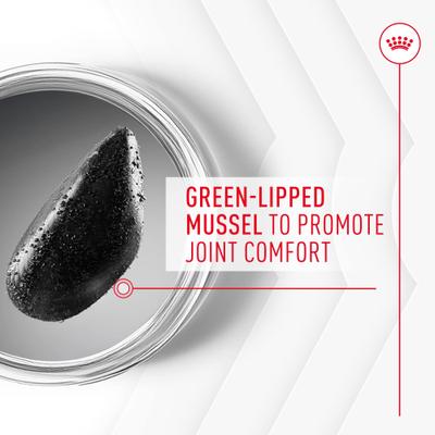 Show full view: Royal Canin Joint Support Soft Chews Supplement for Adult Dogs, 60 count slide 6 of 12