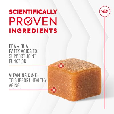 Show full view: Royal Canin Joint Support Soft Chews Supplement for Adult Dogs, 60 count slide 4 of 12
